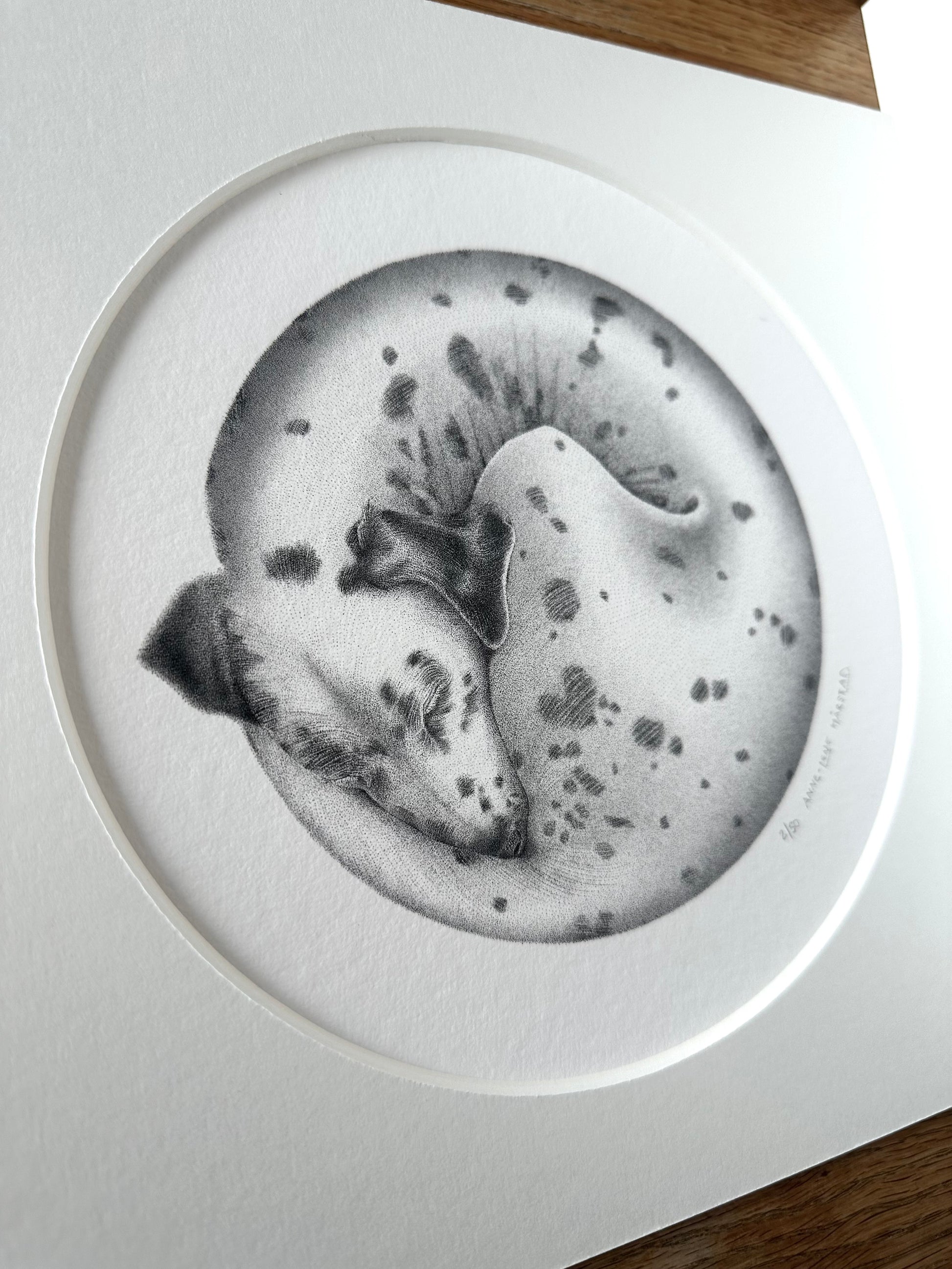 Dalmatian Pet Portrait with Passepartout
