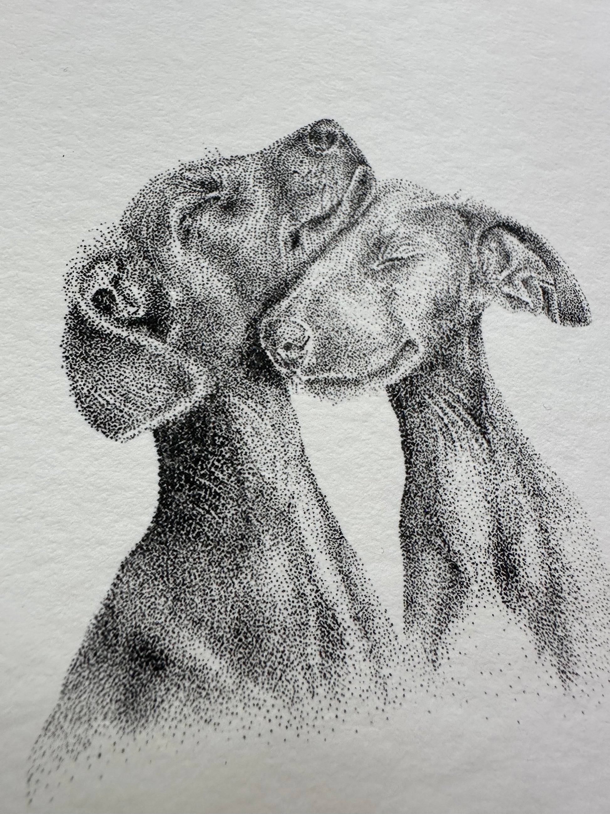 Two good friends