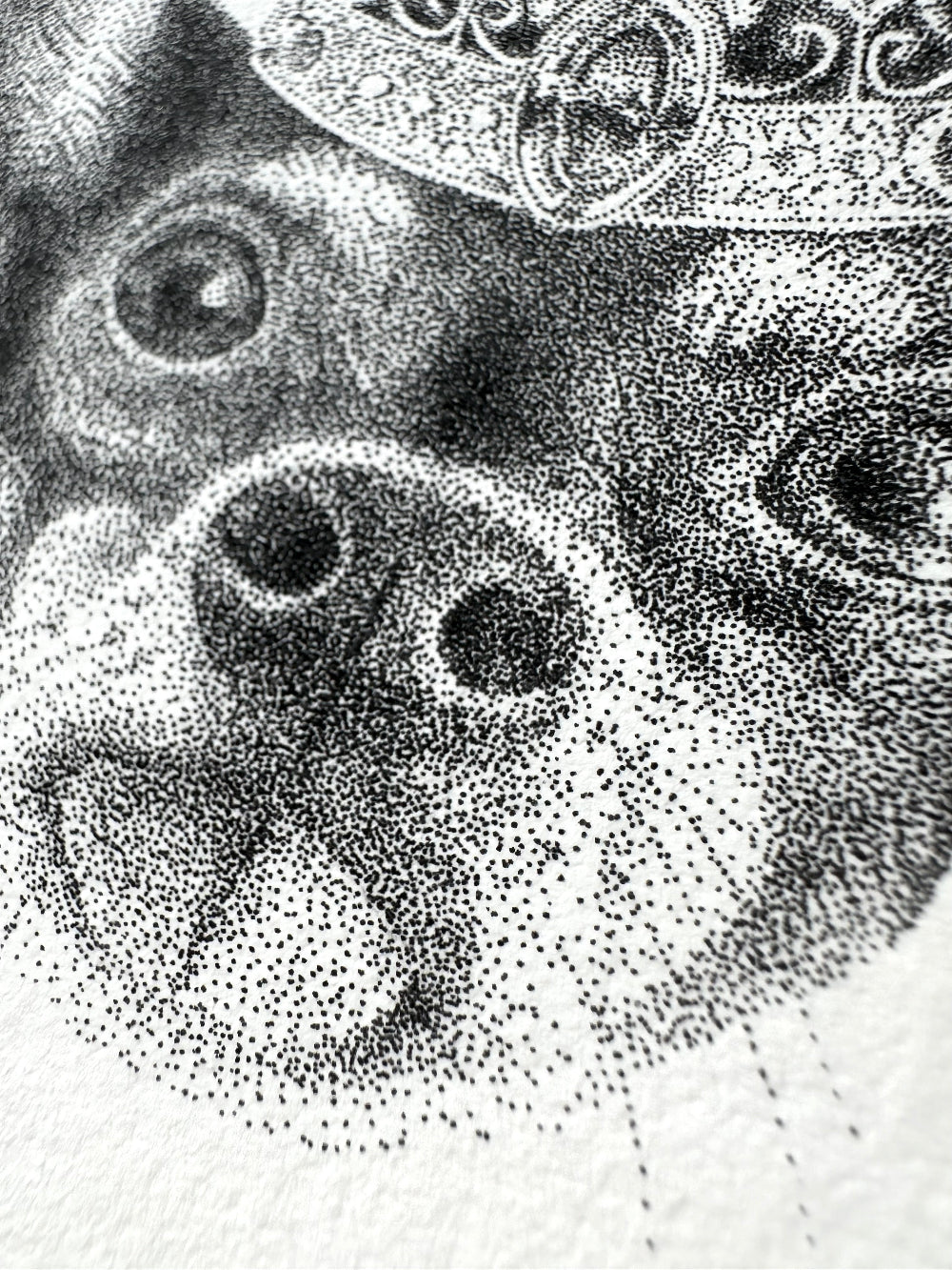 Drawing of a chihuahua with king haralds crown