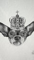 Drawing of a chihuahua with king haralds crown