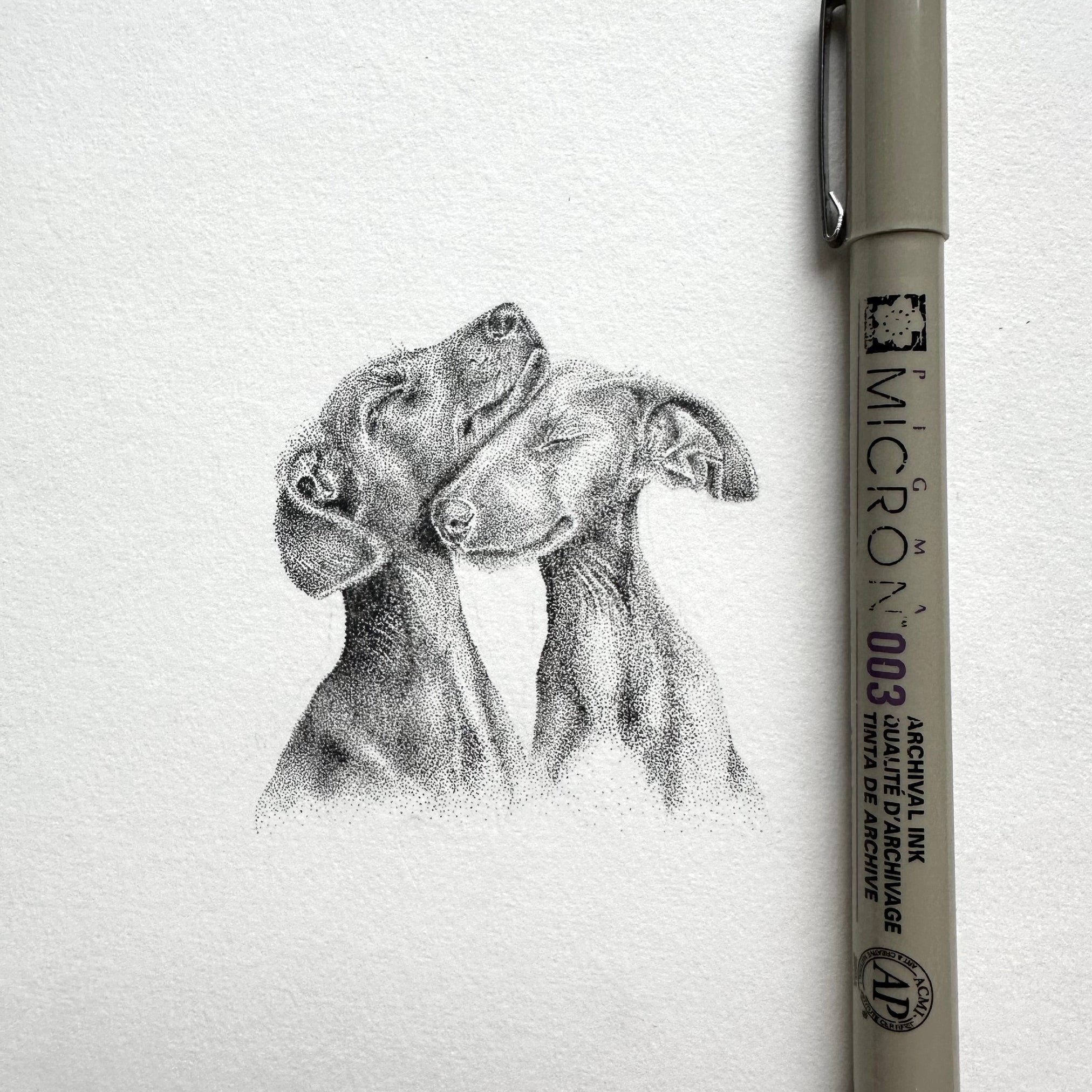 Mini Pet portrait 5