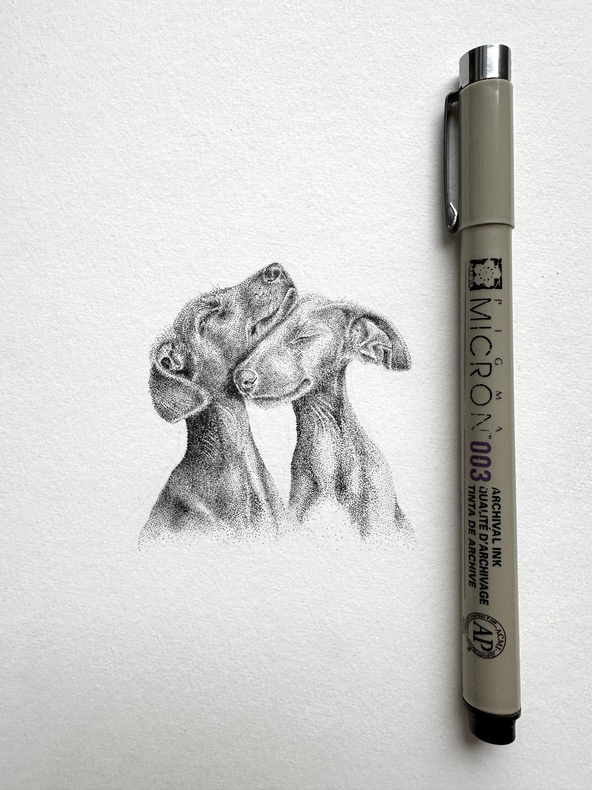Mini Pet portrait 5