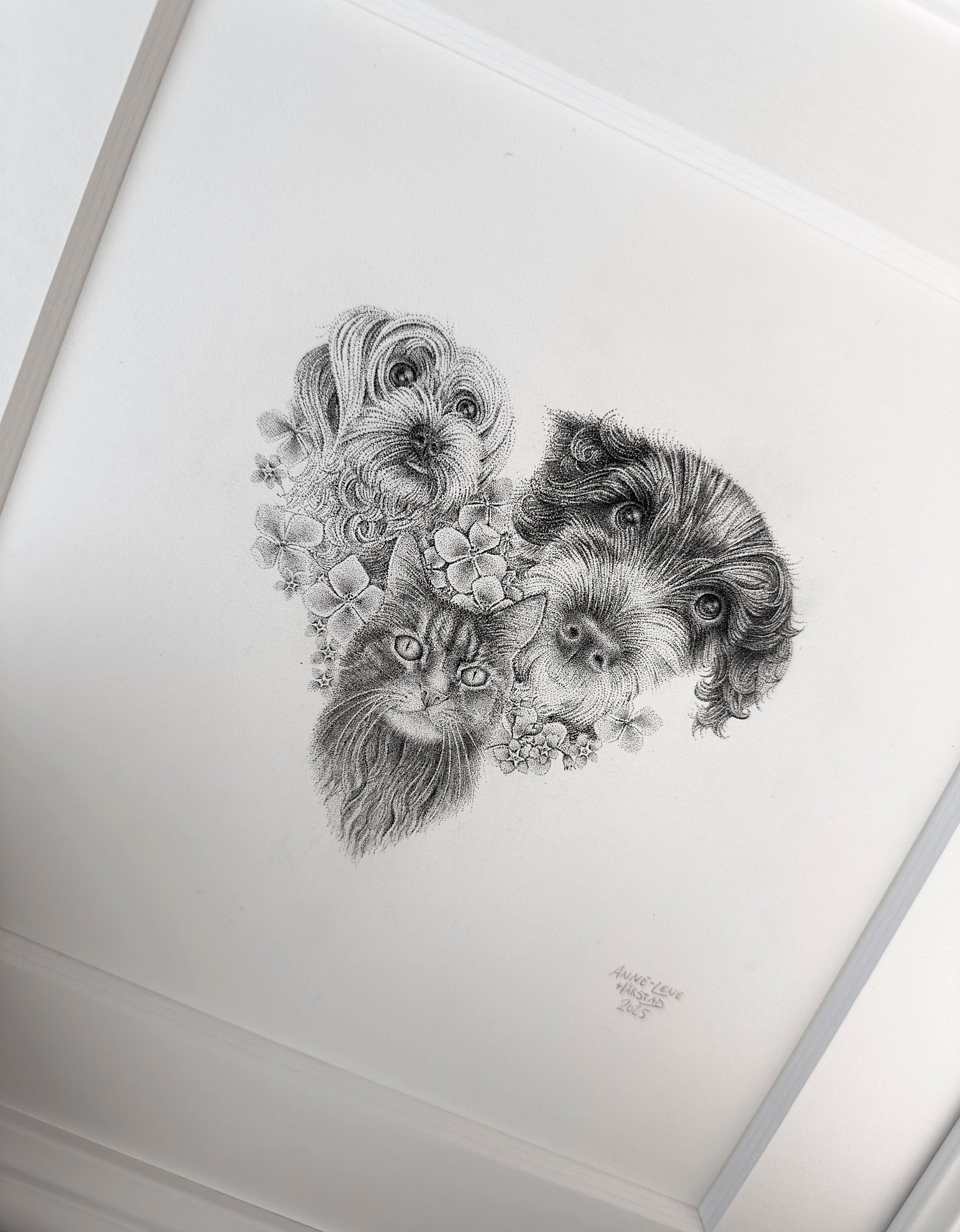 Mini Pet portrait