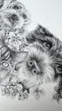 Mini Pet portrait