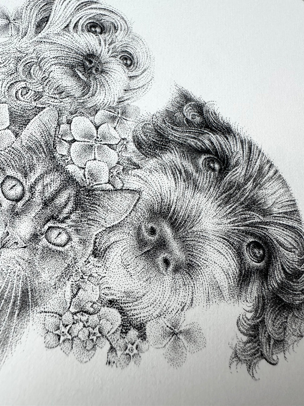 Mini Pet portrait