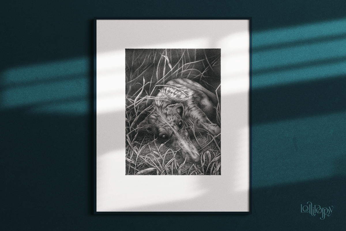 Drawing of the discarded Galgo