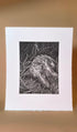 Drawing of the discarded Galgo