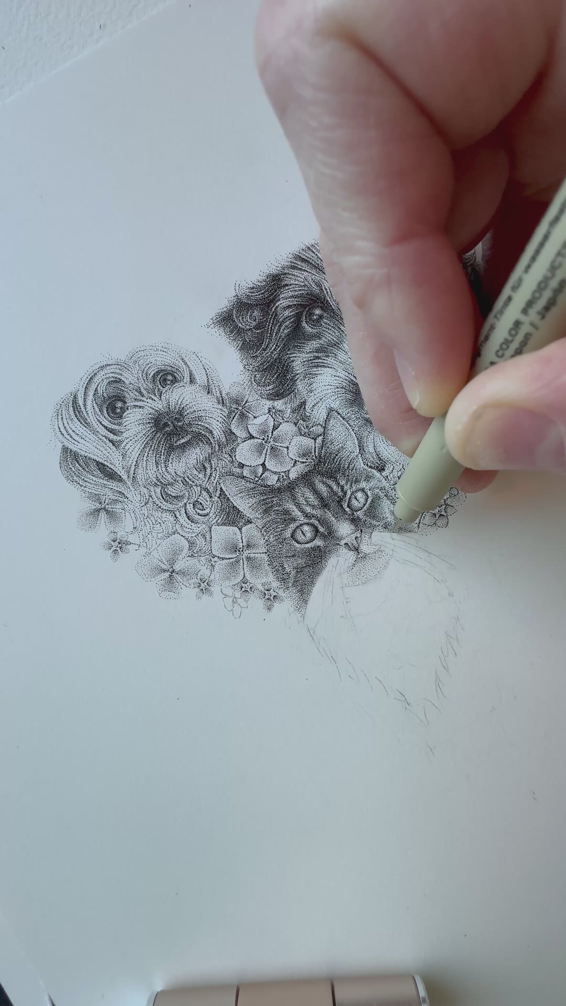 Mini Pet portrait drawing
