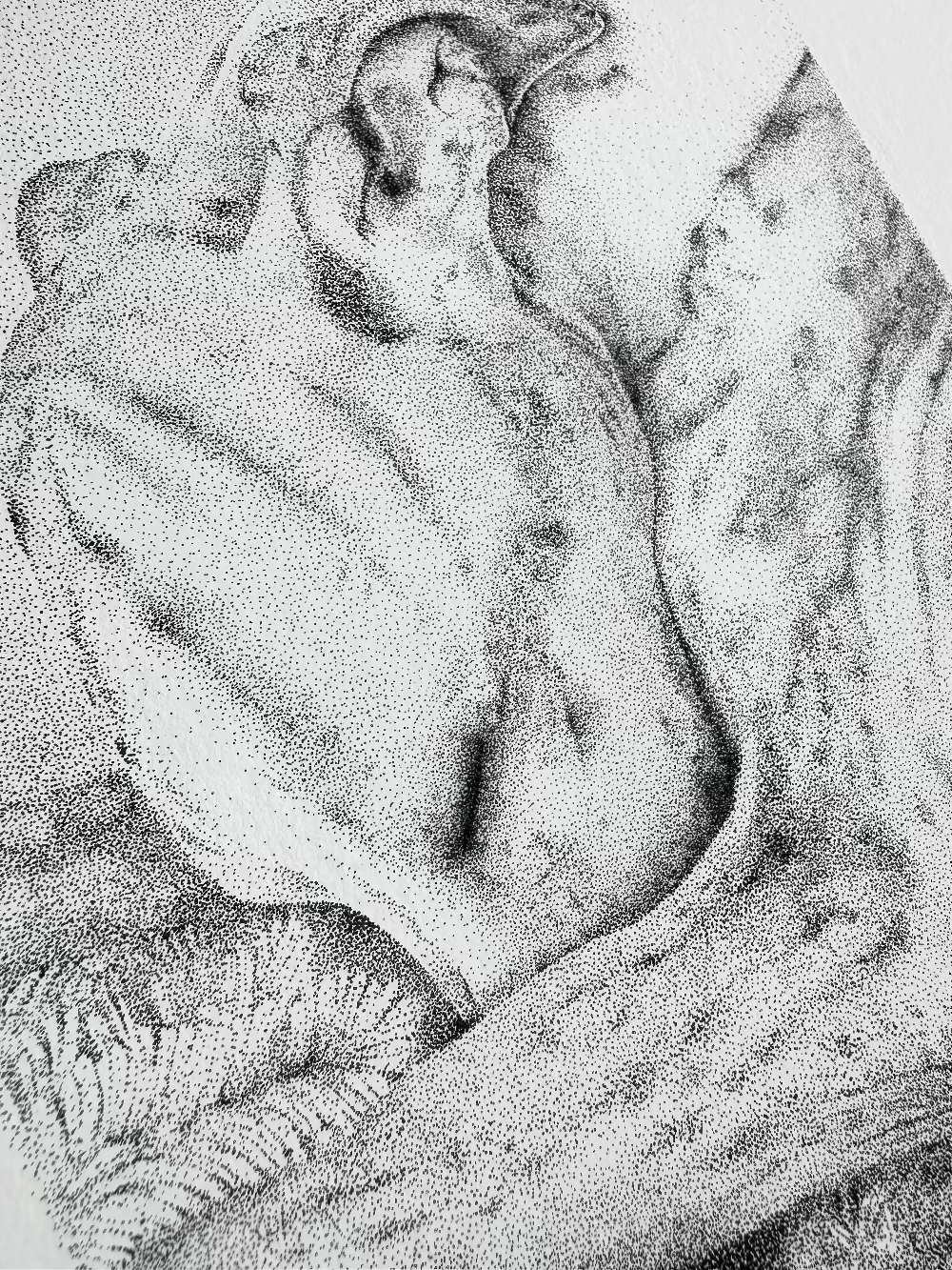 Artwork of a sleeping calm whippet, sighthound. 