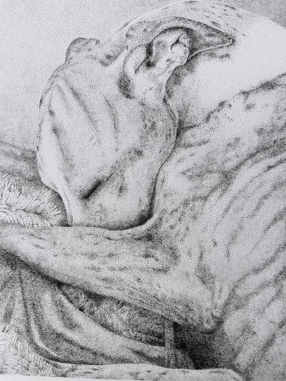 Artwork of a calm sleeping whippet
